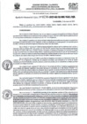 Vista preliminar de documento RD- 0236