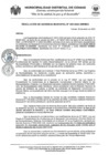 Vista preliminar de documento RGM-009