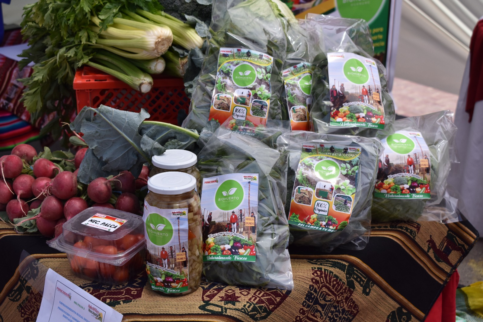 Instituciones se unieron para fomentar alimentación saludable en Gran Feria Multisectorial 