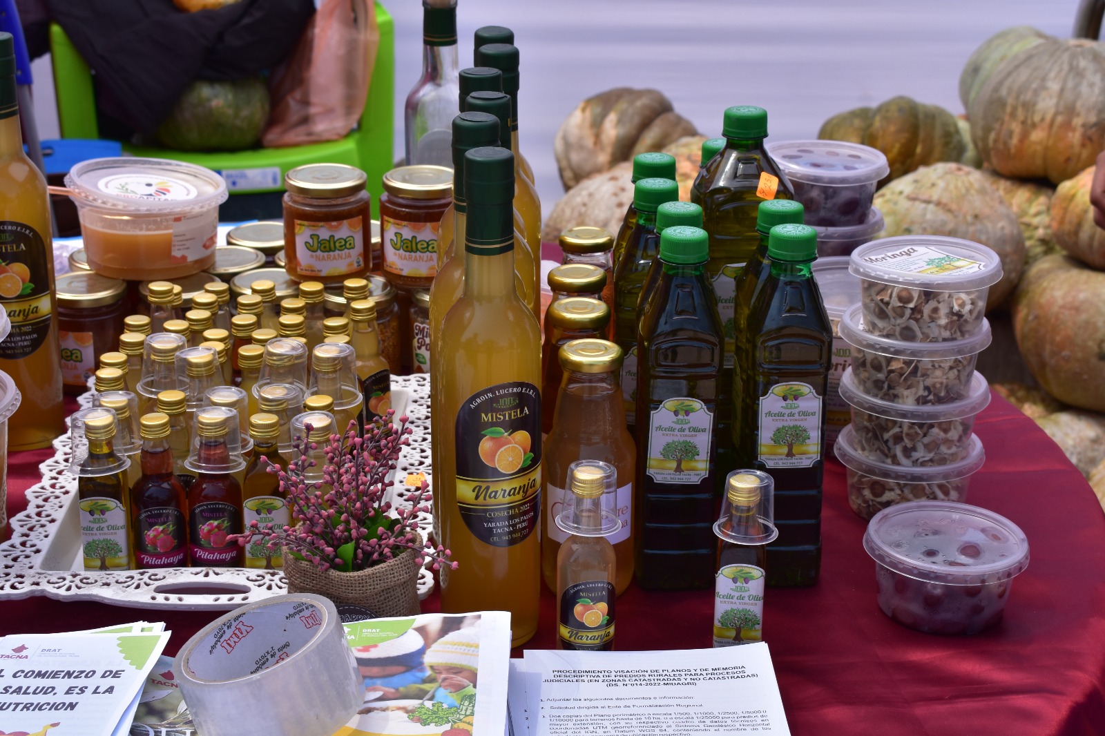 Instituciones se unieron para fomentar alimentación saludable en Gran Feria Multisectorial 