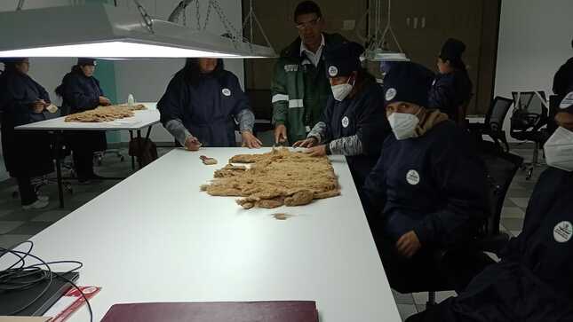 IMG-20231004-WA0002