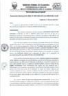 Vista preliminar de documento RD- 0263