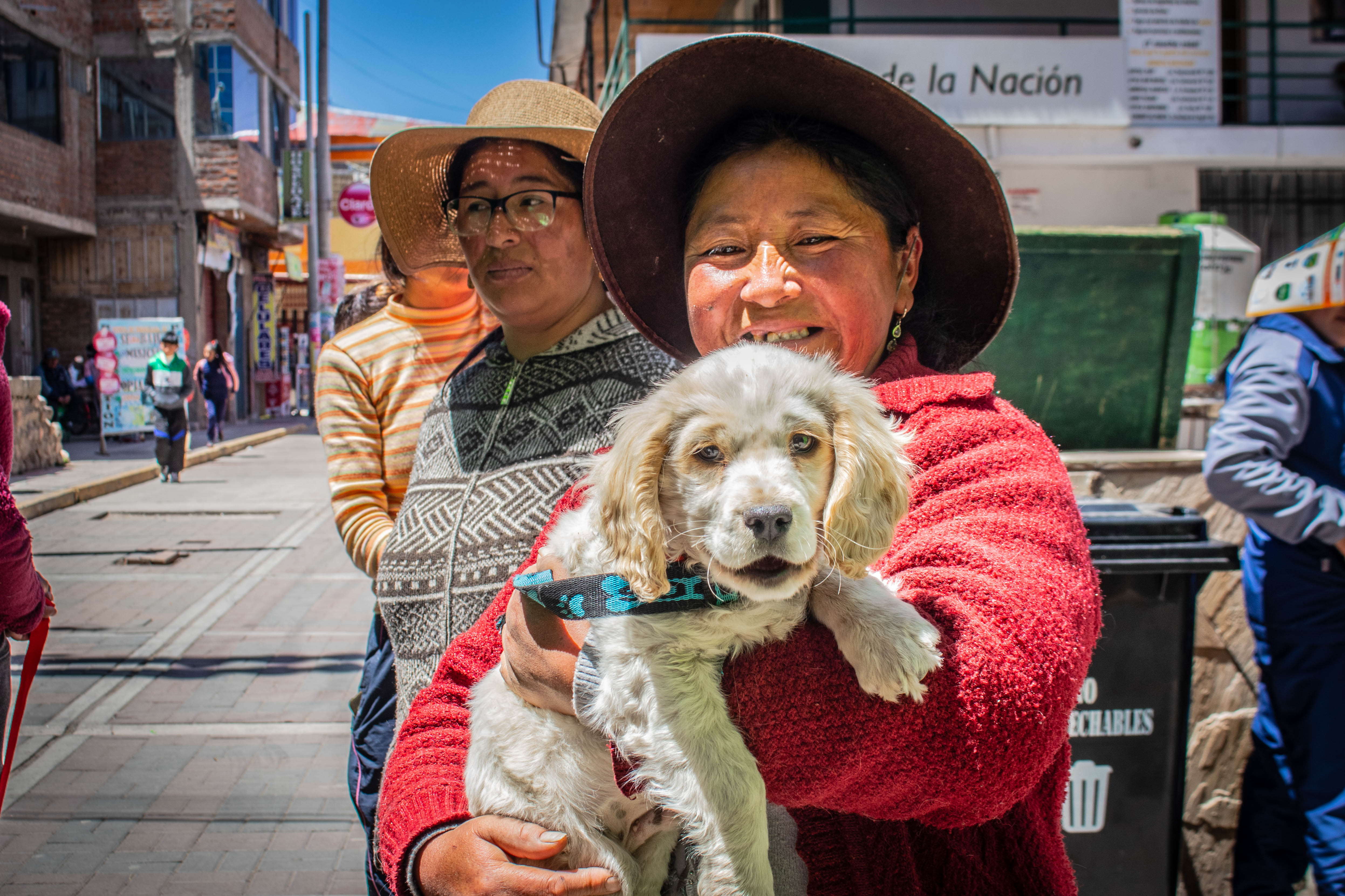 Inicio campaña de esterilización y desparasitación canina y felina Macusani