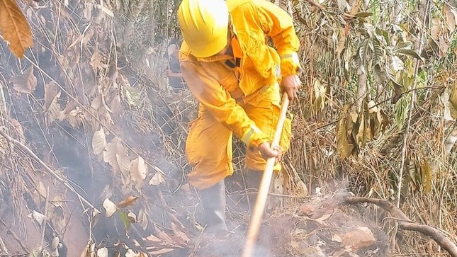 Guardarques bomberos forestales del Sernanp combaten incendio en Comunidad Nativa Kichwa de Callanayacu