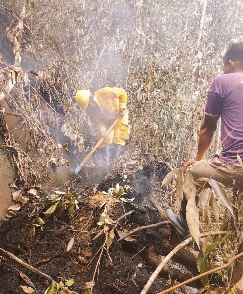 Guardarques bomberos forestales del Sernanp combaten incendio en Comunidad Nativa Kichwa de Callanayacu