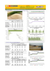 Vista preliminar de documento Boletín de abastecimiento y precio del ARROZ - 05/10/23