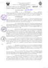 Vista preliminar de documento RD Nº 0185 
