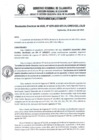 Vista preliminar de documento RD- 0276