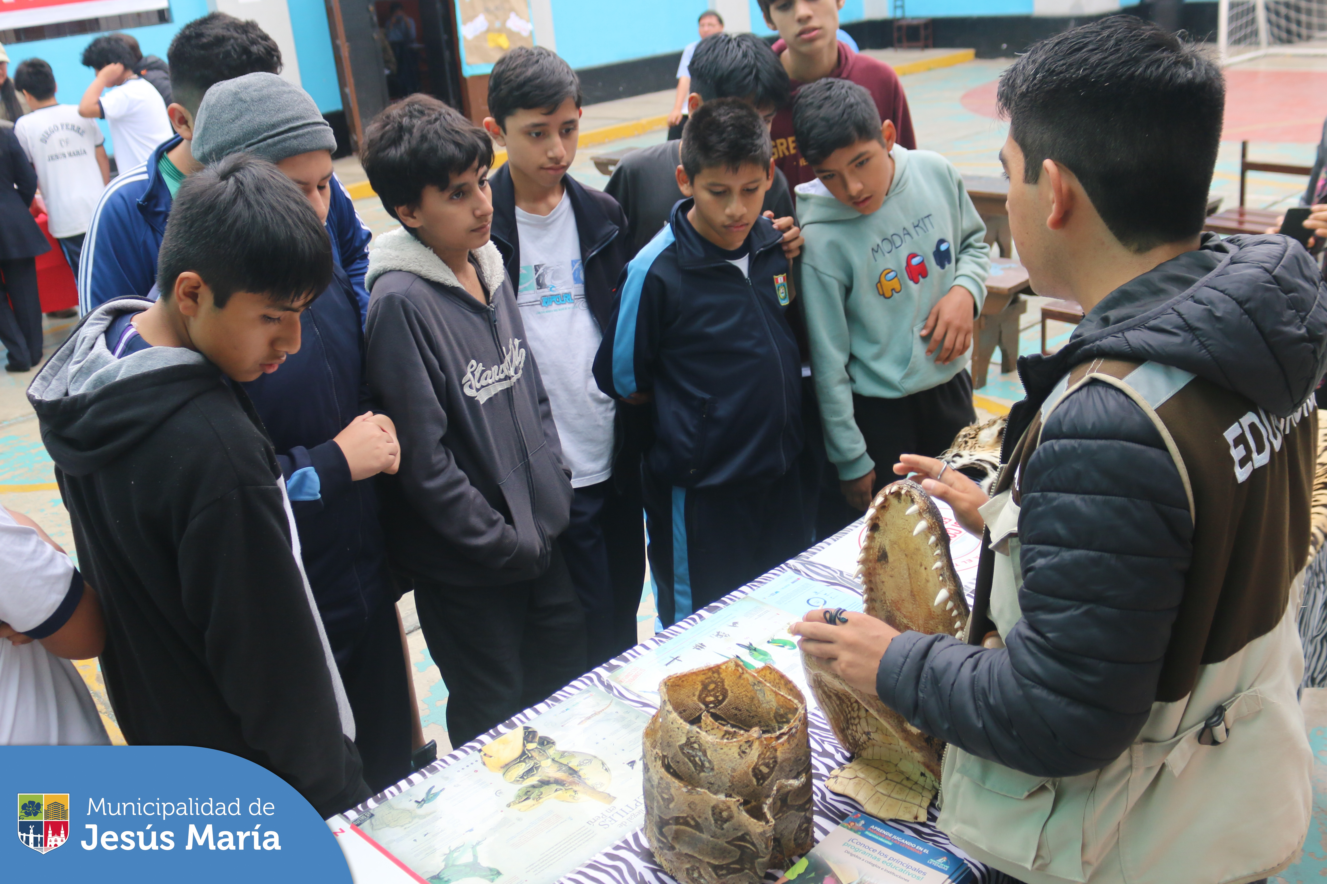 Se realizó la segunda edición de nuestro programa ambiental con los jóvenes del colegio Diego Ferre. Ellos disfrutaron de una mañana de aprendizaje participando de los talleres de 🌱 biohuertos urbanos, capacitación sobre liderazgo ambiental, cursos de manualidades recicladas 😊 y mucho más.
¡Llámanos! 📱940410958 tu cole puede ser el próximo.
*Con el apoyo de Serfor, Parque de las Leyendas, Guardianes de los humedales y Paleo Kids.