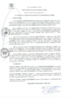 Vista preliminar de documento RA 080-2021