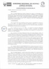 Vista preliminar de documento Acuerdo Regional Nº 155-2023