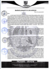 Vista preliminar de documento rgm417