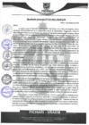 Vista preliminar de documento rgm419