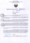 Vista preliminar de documento RD Nº 0203 