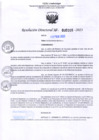 Vista preliminar de documento RD Nº 0205
