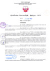 Vista preliminar de documento RD Nº 0206 