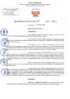 Vista preliminar de documento RD N 523