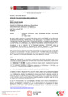 Vista preliminar de documento DI N° 015-2023-CEB
