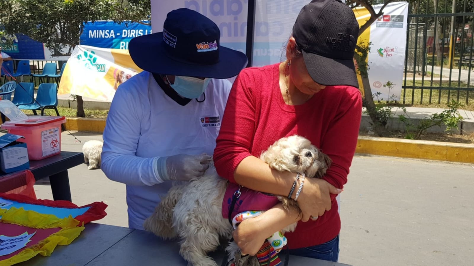 Diris Lima este: Más de 137 000 perros fueron vacunados contra la rabia