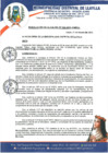 Vista preliminar de documento RA-060-2023