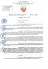 Vista preliminar de documento RD N 536