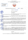 Vista preliminar de documento RD N 537