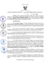 Vista preliminar de documento RES-114-2023-GRDE