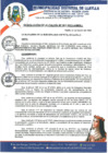 Vista preliminar de documento RA-061-2023