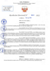 Vista preliminar de documento RD N 543