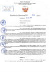 Vista preliminar de documento RD N 545