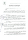 Vista preliminar de documento RA 109-2021