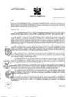Vista preliminar de documento RA N° 020-2021-OE-HCH
