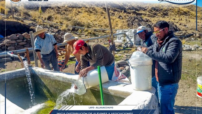 Inicia distribución de alevines a asociaciones productoras de truchas del distrito de Santo Tomás 