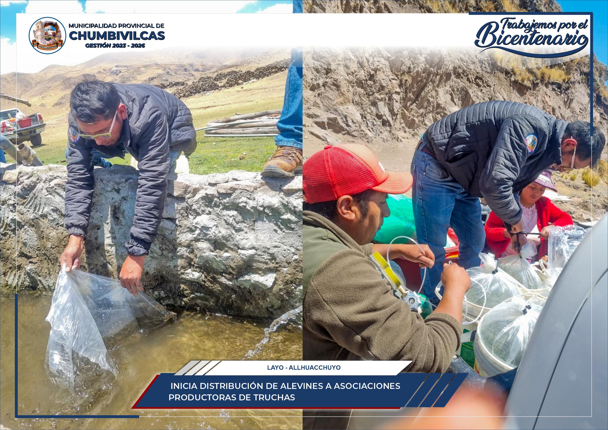 Inicia distribución de alevines a asociaciones productoras de truchas del distrito de Santo Tomás