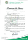 Vista preliminar de documento RESOLUCION DE ALCALDIA Nº 390-MPM-A