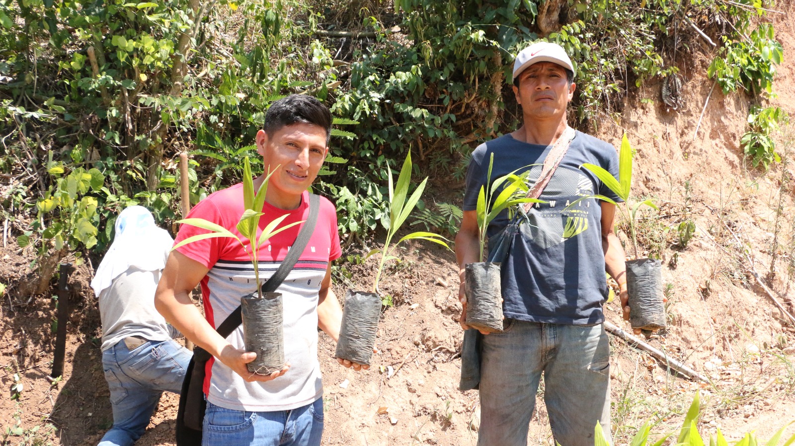 Comunidad nativa Tornillo Yacu