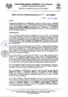 Vista preliminar de documento RGM-858