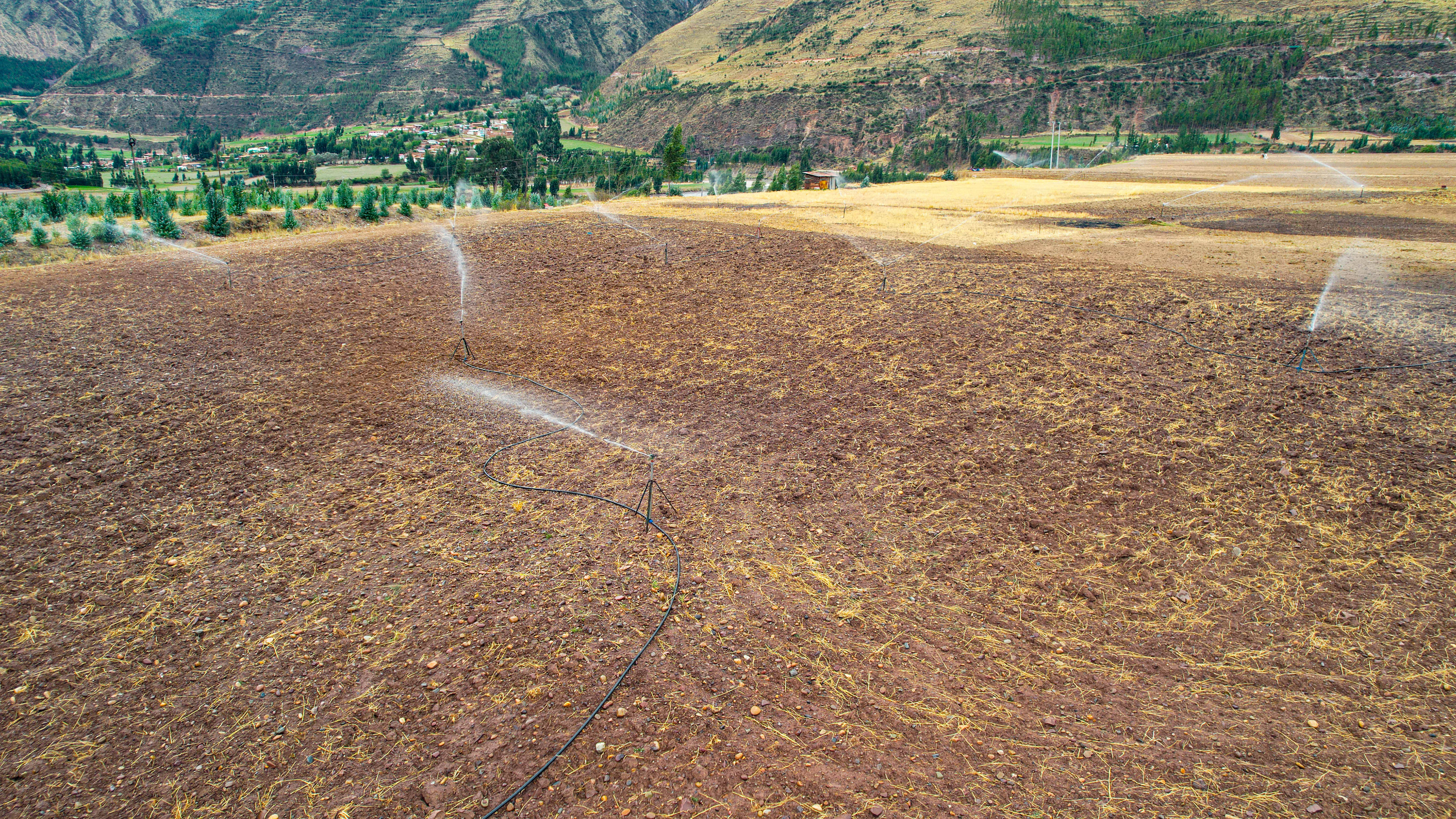 La población usuaria de los distritos de Cusipata, Quiquijana y Urcos, beneficiarios del Proyecto de Riego Margen Derecha e Izquierda del Río Vilcanota, gracias al trasvase en forma temporal por el sifón invertido de Mocoraise, ya cuenta con el recurso hídrico en sus parcelas de cultivo, para tal fin, se realizaron pruebas hidráulicas en los sistemas de aspersión instalados a lo largo de toda la infraestructura, el equipo multidisciplinario de la obra encabezado por el residente, Ing. Rildo Lozano Cusi, junto a profesionales y técnicos del equipo de Gestión Integrada del Riego “GIR”, realizaron estos trabajos en los sistemas de instalados, la infraestructura, a la fecha, cuenta con un avance físico del 97 % y un avance financiero del 95% con una inversión modificada superior a los 118 millones de soles.
El Ing. Residente de la Obra, Rildo Lozano Cusi, explicó: “En el sector de Amaru pampa del distrito de Quiquijana, realizamos la operación de prueba del módulo de aspersión, además pusimos a prueba los aspersores para ver y comprobar el funcionamiento de los equipos ya que este sector nunca tuvo riego, solamente se aprovechaba la lluvia de la época, pero en esta oportunidad y gracias al proyecto ponemos el recurso hídrico al servicio de los pobladores de la zona”; Los usuarios luego de 10 años de espera por fin evidenciaron la presencia del recurso hídrico en sus parcelas de cultivo y tuvieron palabras de reconocimiento y agradecimiento al Gobernador Regional de Cusco, Ing. Werner Salcedo Álvarez y al director ejecutivo del Plan MERISS, Ing. Lucho Salcedo Cáceres.
De acuerdo al residente de obra, se tiene programado a diciembre 2023, la conclusión de los sifones Quiquijana, Mollebamba y Cachimayo, la ejecución del desfogue Quiquijana y obras complementarias, la construcción del acueducto de Moccoraise y puesta en funcionamiento, la ejecución de 03 pases aéreos sobre el rio Vilcanota, Quiquijana, Mollebamba y Paucarbamba y por último la ejecución de 08 acueductos en el tramo Muñapata - Paroccan de la línea de conducción.
NOTA: El proyecto beneficia a 1,923 familias de más de 12 mil habitantes de 15 comunidades campesinas de los distritos de Cusipata, Quiquijana y Urcos de la provincia de Quispicanchi, para lo cual se construyó el sistema de captación Yaucat, localizado en el distrito de Cusipata y con ello derivar el recurso hídrico para irrigar 1,360 hectáreas mediante un canal de conducción entubado en una longitud de 49.9 kilómetros.