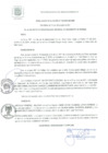 Vista preliminar de documento RA 132-2021