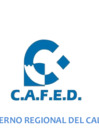 Vista preliminar de documento CAFED -  Logros y Avances