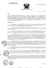 Vista preliminar de documento RA N° 144-2021-OEA-HCH