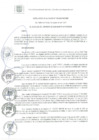 Vista preliminar de documento RA 136-2021