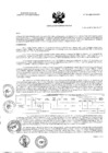 Vista preliminar de documento RA N° 167-2021-OEA-HCH