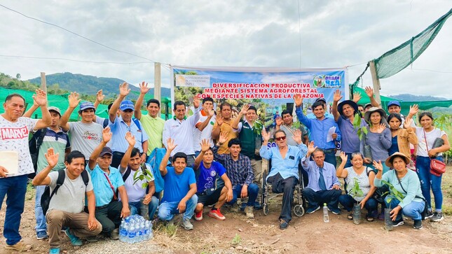 Beneficiarios del proyecto "Diversificación Productiva Mediante Sistema Agroforestal con Especies Nativas de la Amazonía"