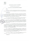 Vista preliminar de documento RA 141-2021