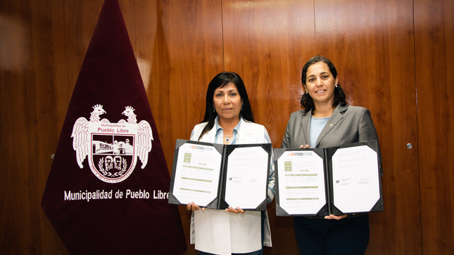 imagen de la publicacion