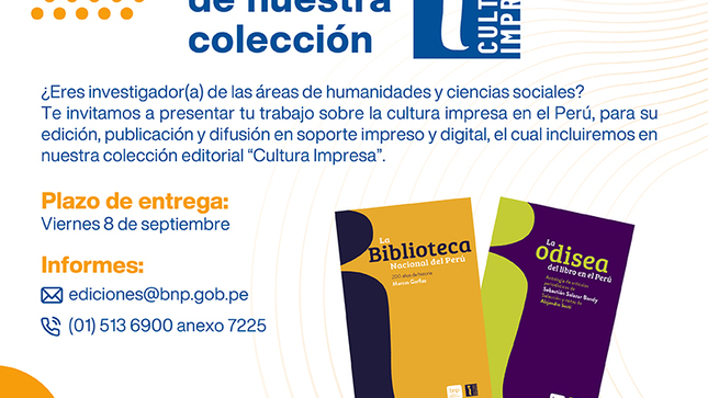 imagen de la publicacion