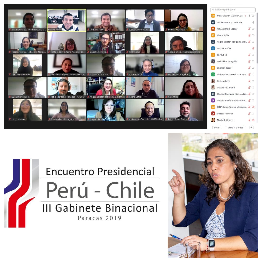 imagen de la publicacion