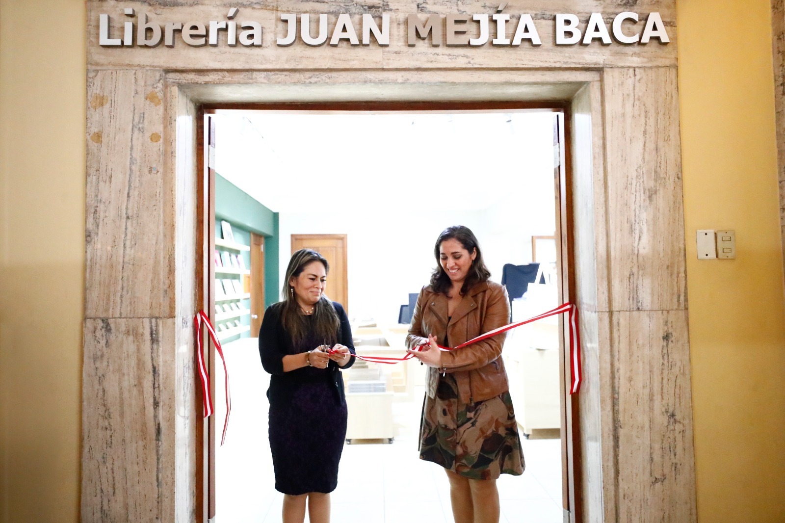 imagen de la publicacion
