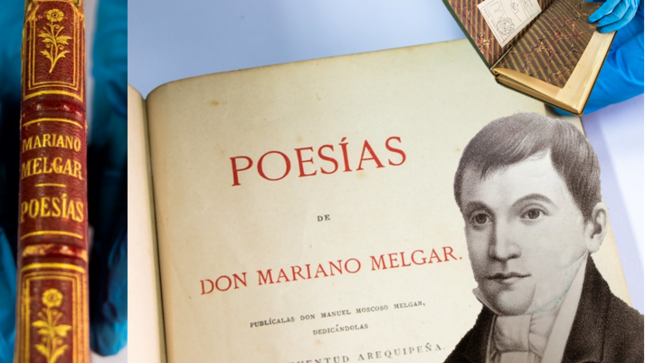 imagen de la publicacion